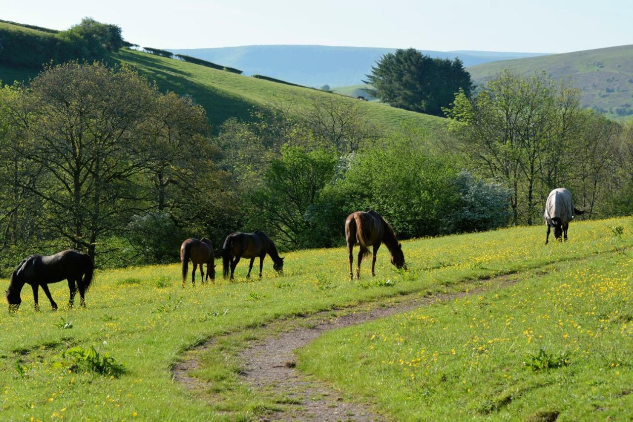 Апартаменты Snug Oak Hut With A View On A Welsh Hill Farm Брекон Экстерьер фото